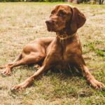 Discover Le Bon March: Iconic Paris Shopping