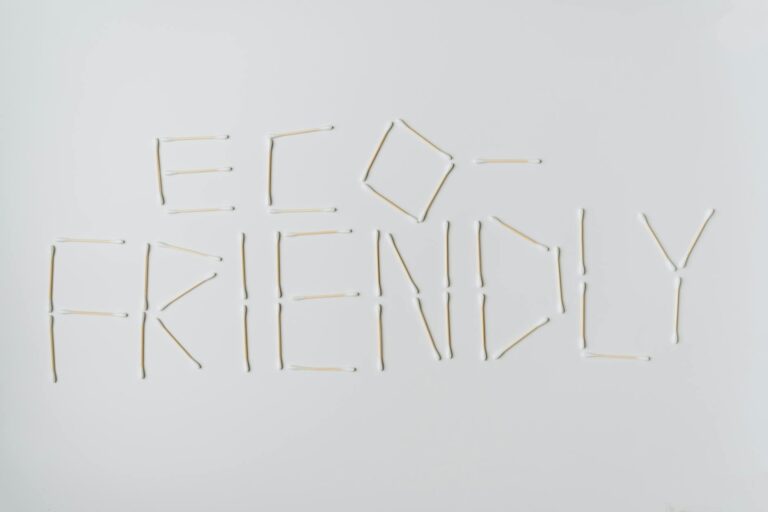 eco-friendly shoes fashion