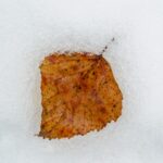 Best Ankle Boots for Fall & Winter Style