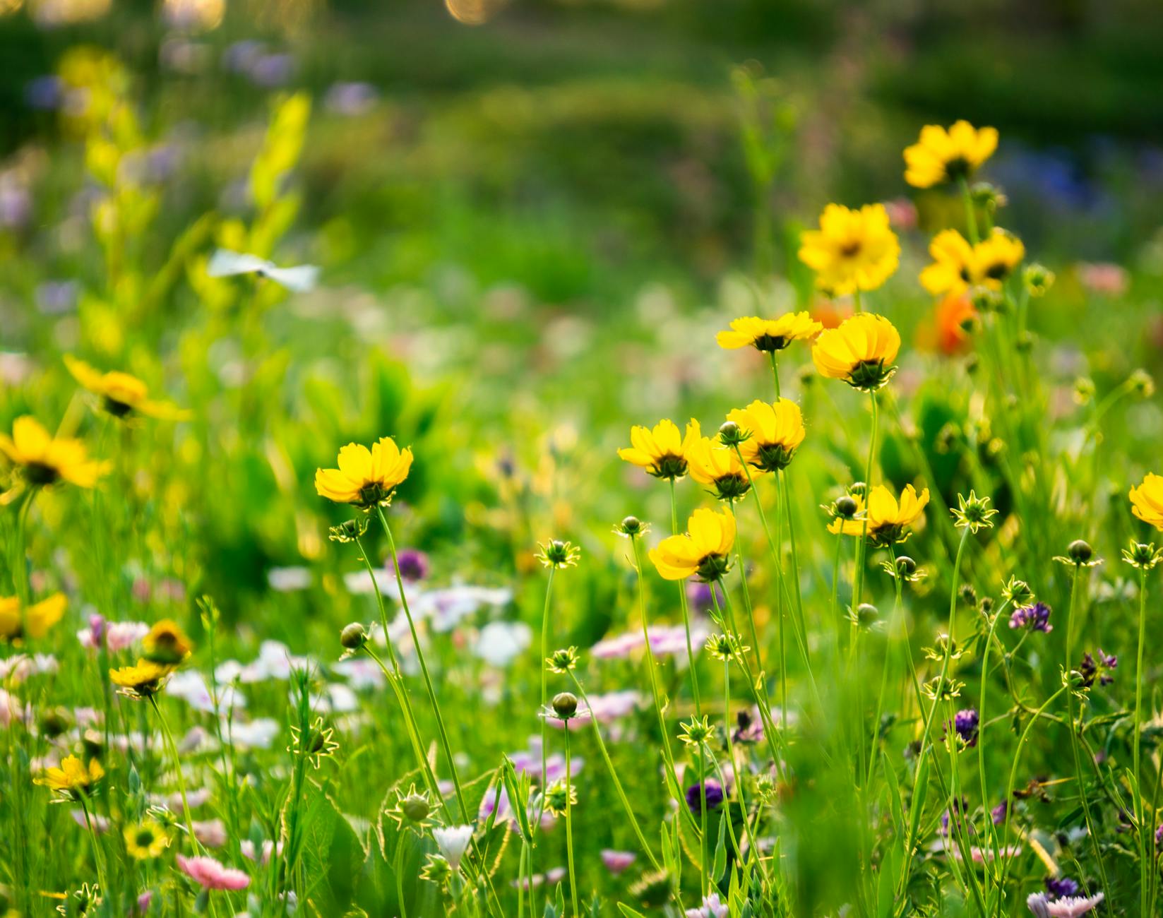 sustainable spring fashion